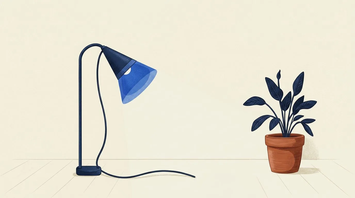 A lamp that works perfectly, with its cord lying unplugged on the floor